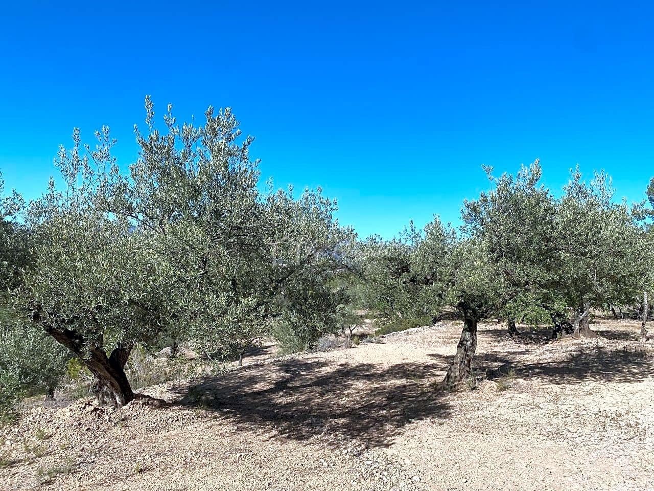 Grond te koop in Aldover - € 55.000 (Ref: 8439435)