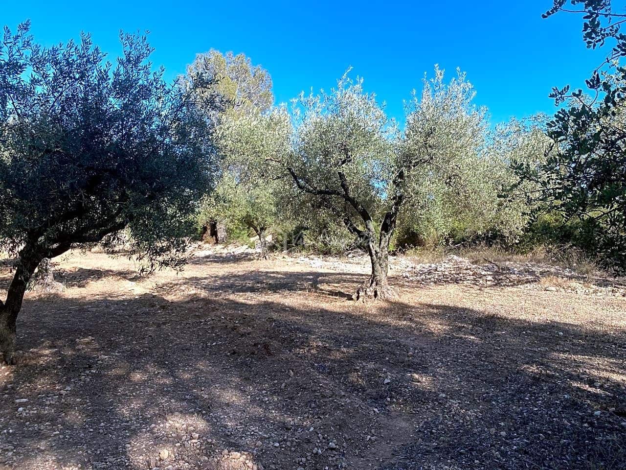 Grond te koop in Aldover - € 55.000 (Ref: 8439435)