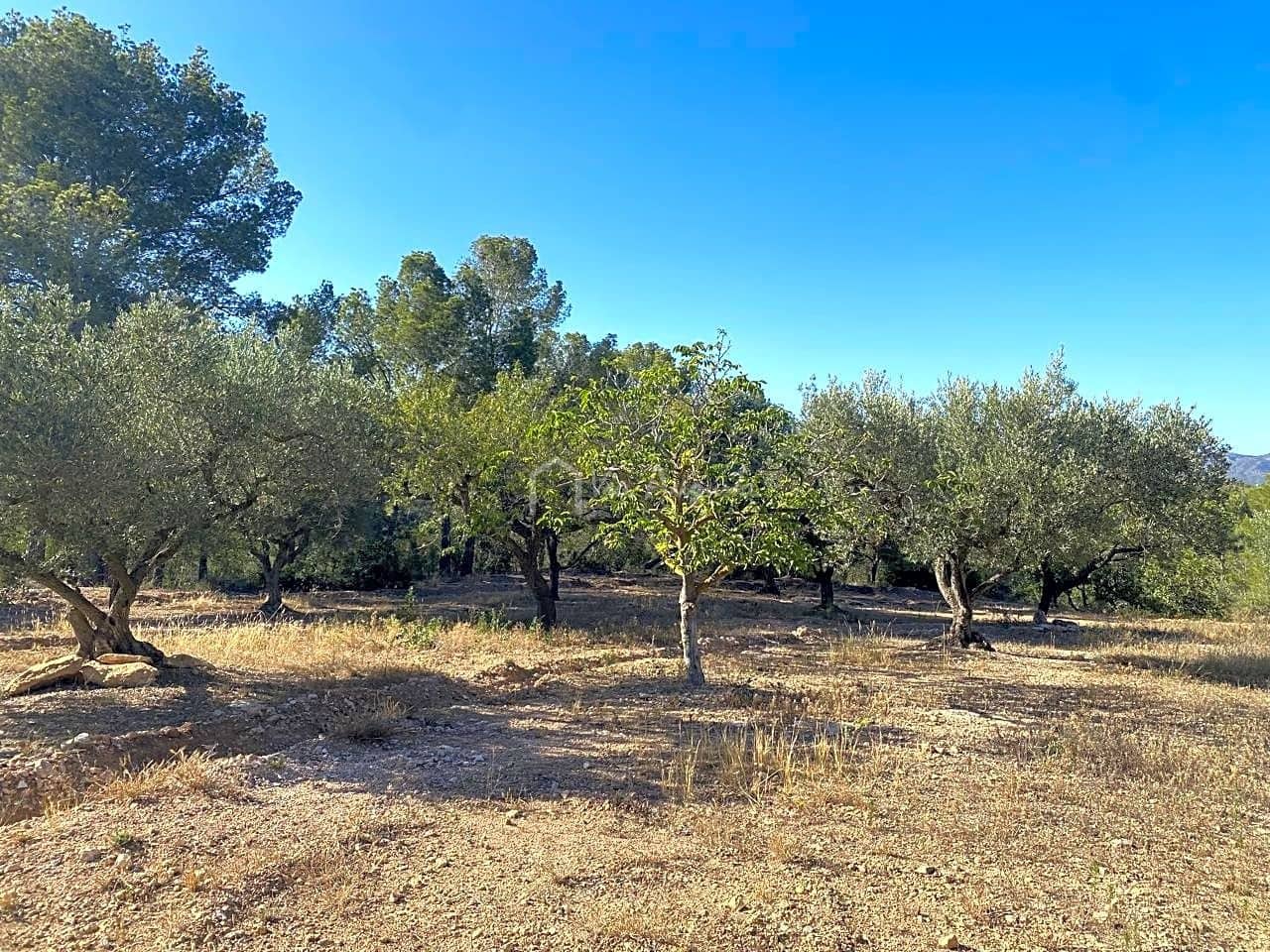 Grond te koop in Aldover - € 55.000 (Ref: 8439435)