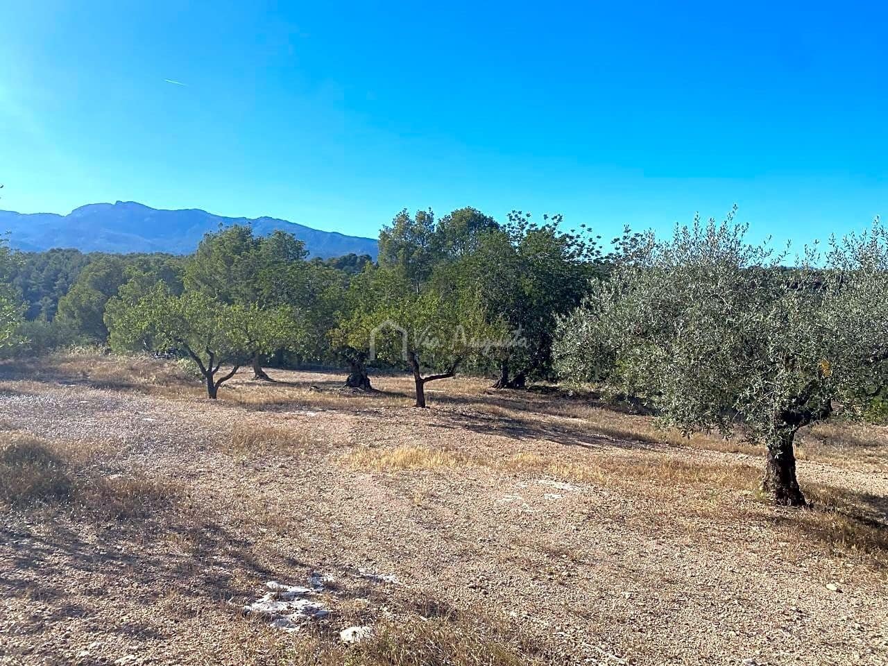 Grond te koop in Aldover - € 55.000 (Ref: 8439435)