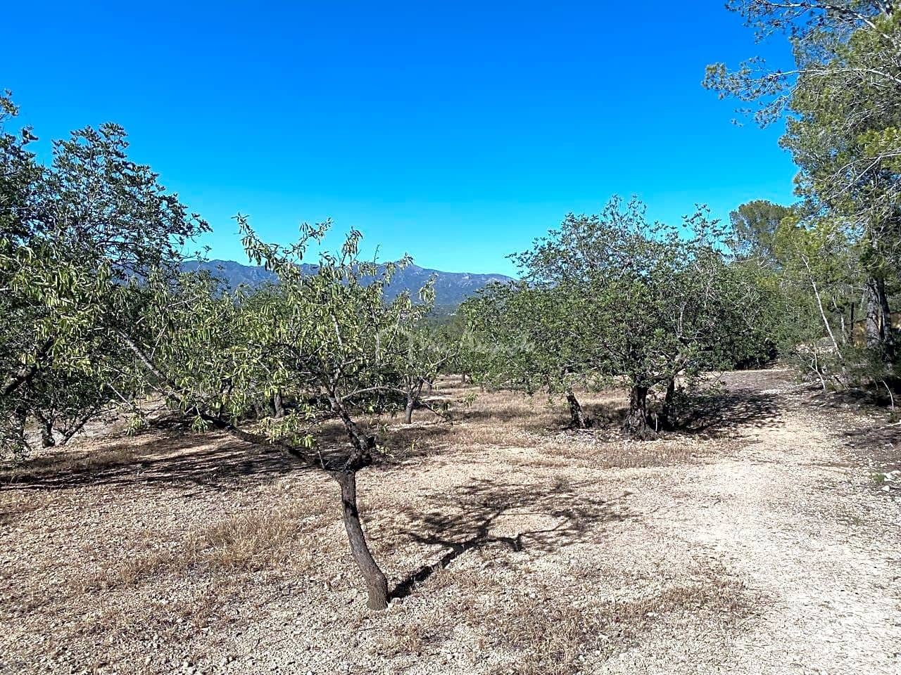 Grond te koop in Aldover - € 55.000 (Ref: 8439435)