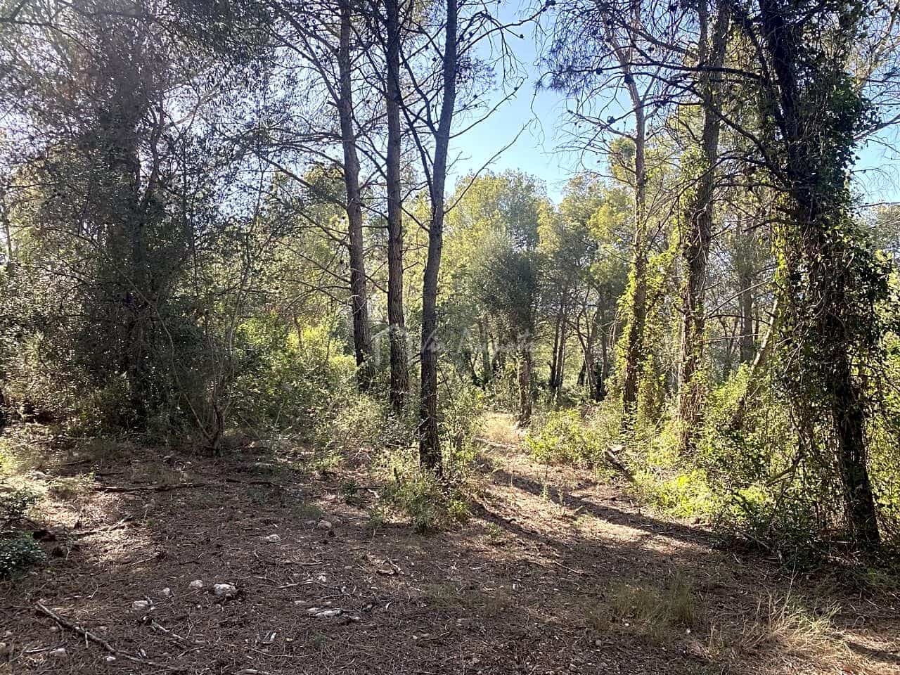 Grond te koop in Aldover - € 55.000 (Ref: 8439435)