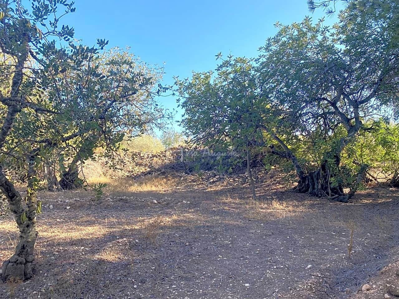 Grond te koop in Aldover - € 55.000 (Ref: 8439435)