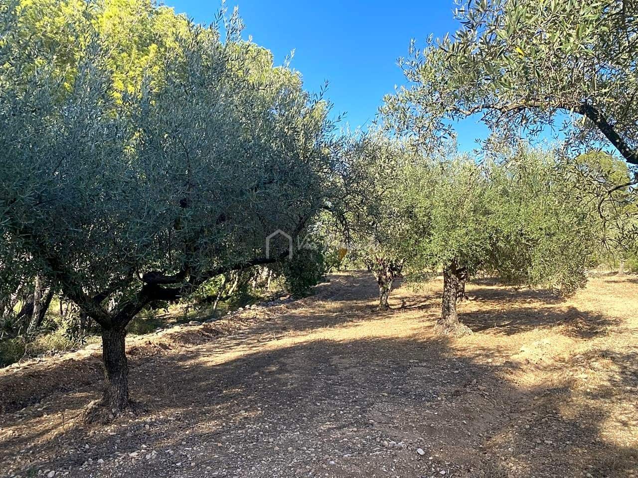 Grond te koop in Aldover - € 55.000 (Ref: 8439435)