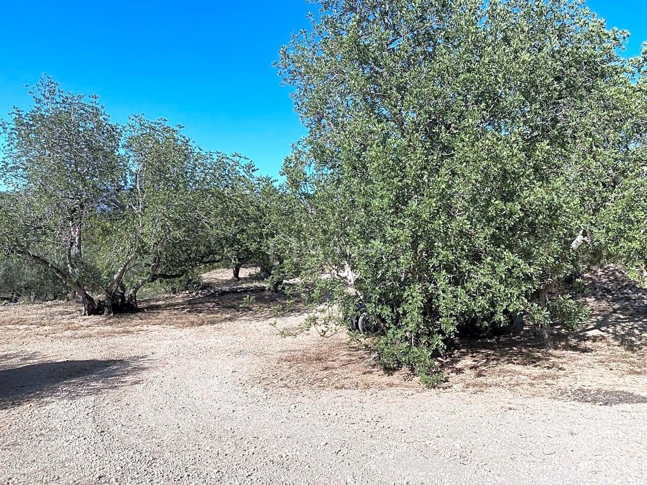 Grond te koop in Aldover - € 55.000 (Ref: 8439435)