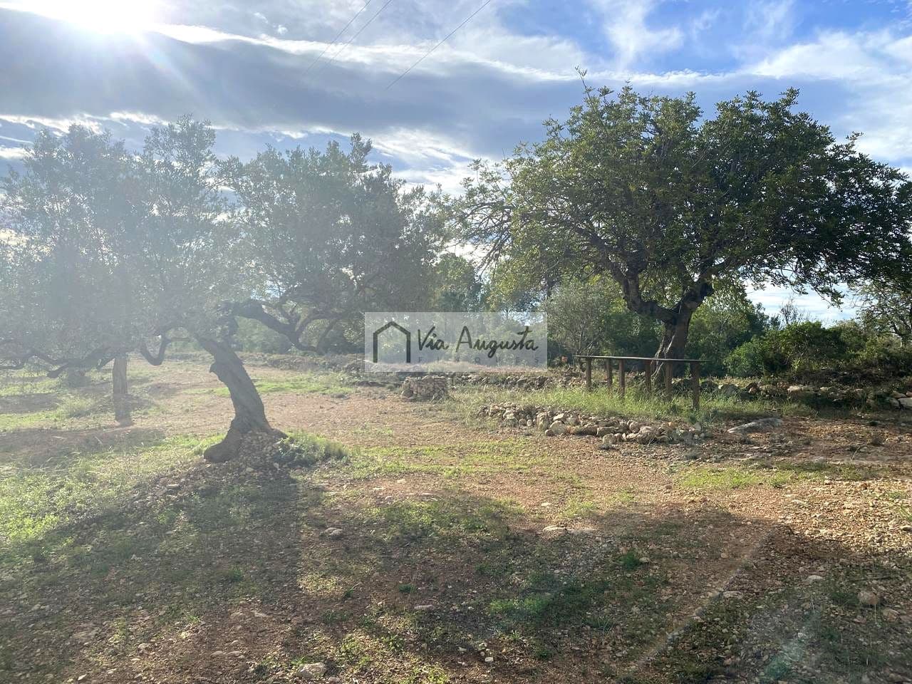 Grunde uden byggetilladelser til salg i L'Ampolla - € 53.000 (Ref: 8571110)