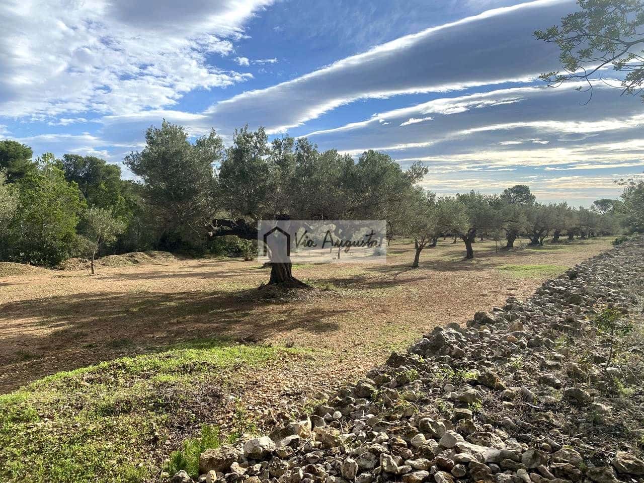 Grunde uden byggetilladelser til salg i L'Ampolla - € 53.000 (Ref: 8571110)