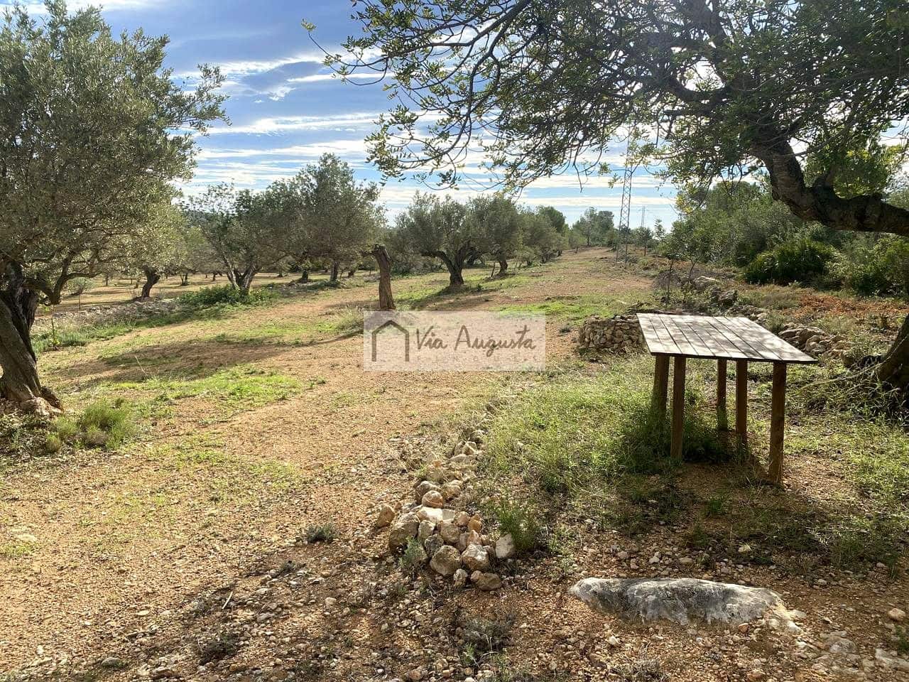 Grunde uden byggetilladelser til salg i L'Ampolla - € 53.000 (Ref: 8571110)