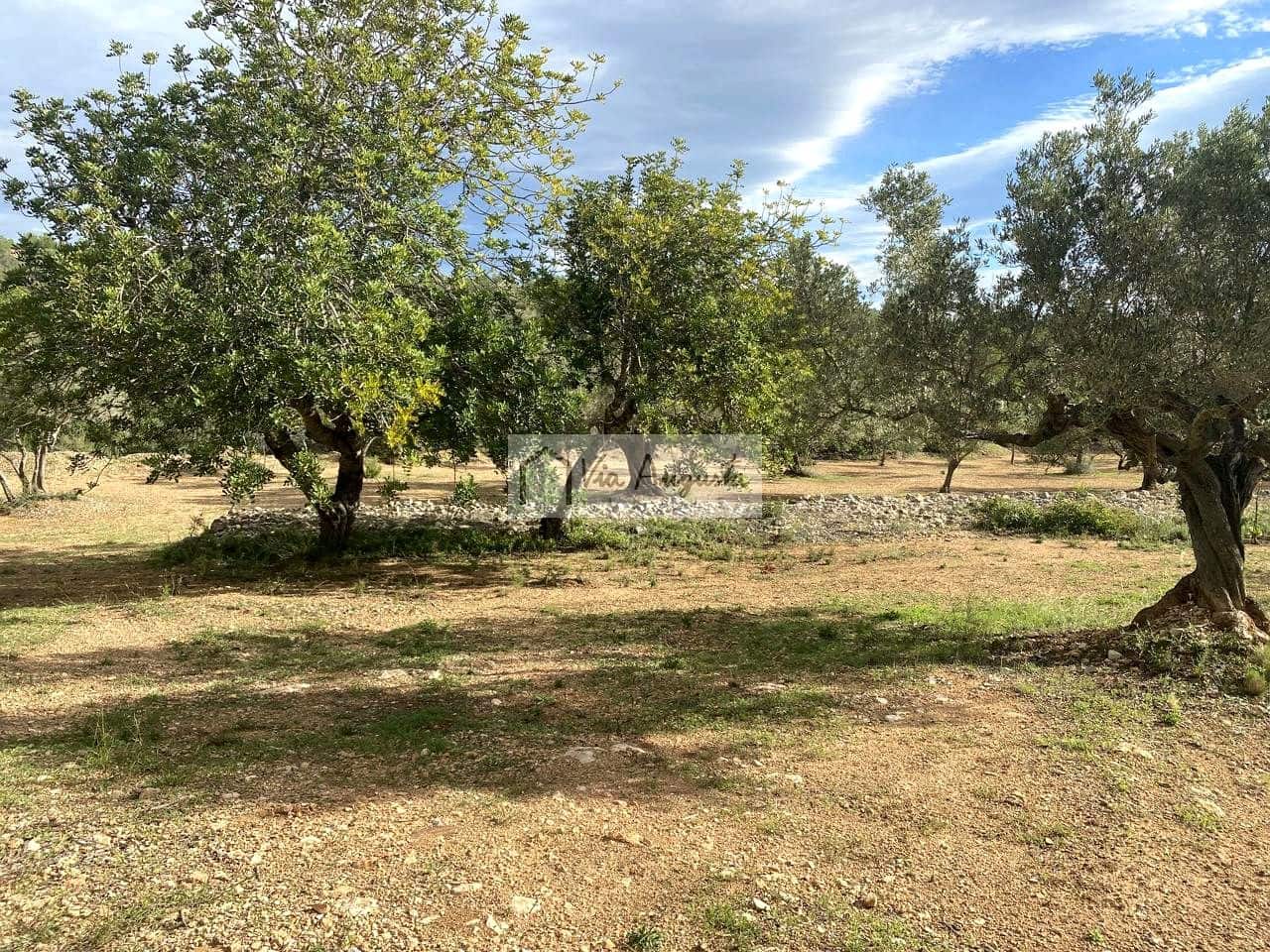 Grunde uden byggetilladelser til salg i L'Ampolla - € 53.000 (Ref: 8571110)