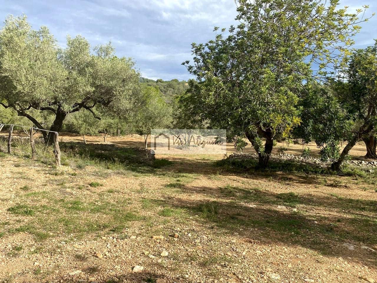 Grunde uden byggetilladelser til salg i L'Ampolla - € 53.000 (Ref: 8571110)