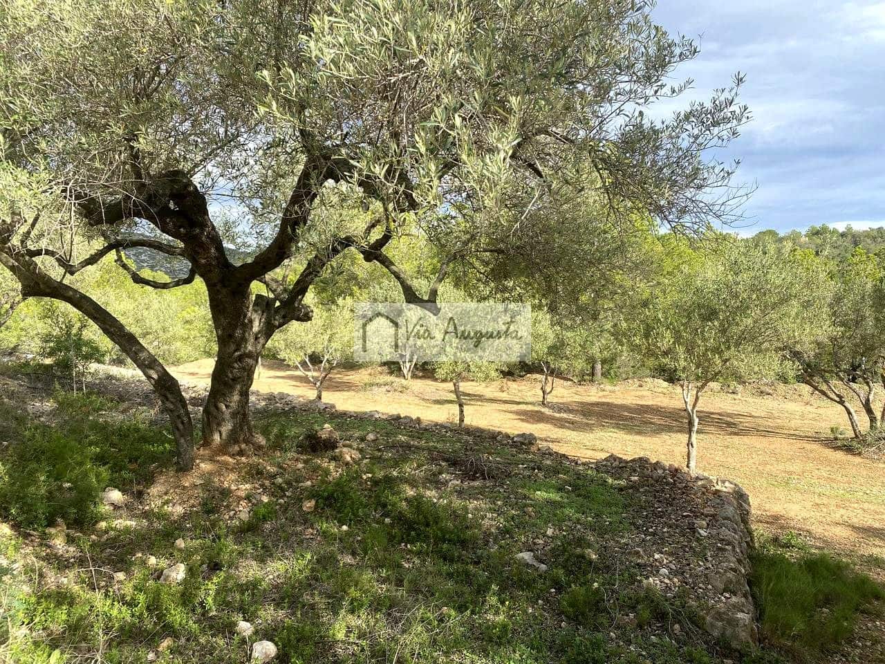 Grunde uden byggetilladelser til salg i L'Ampolla - € 53.000 (Ref: 8571110)