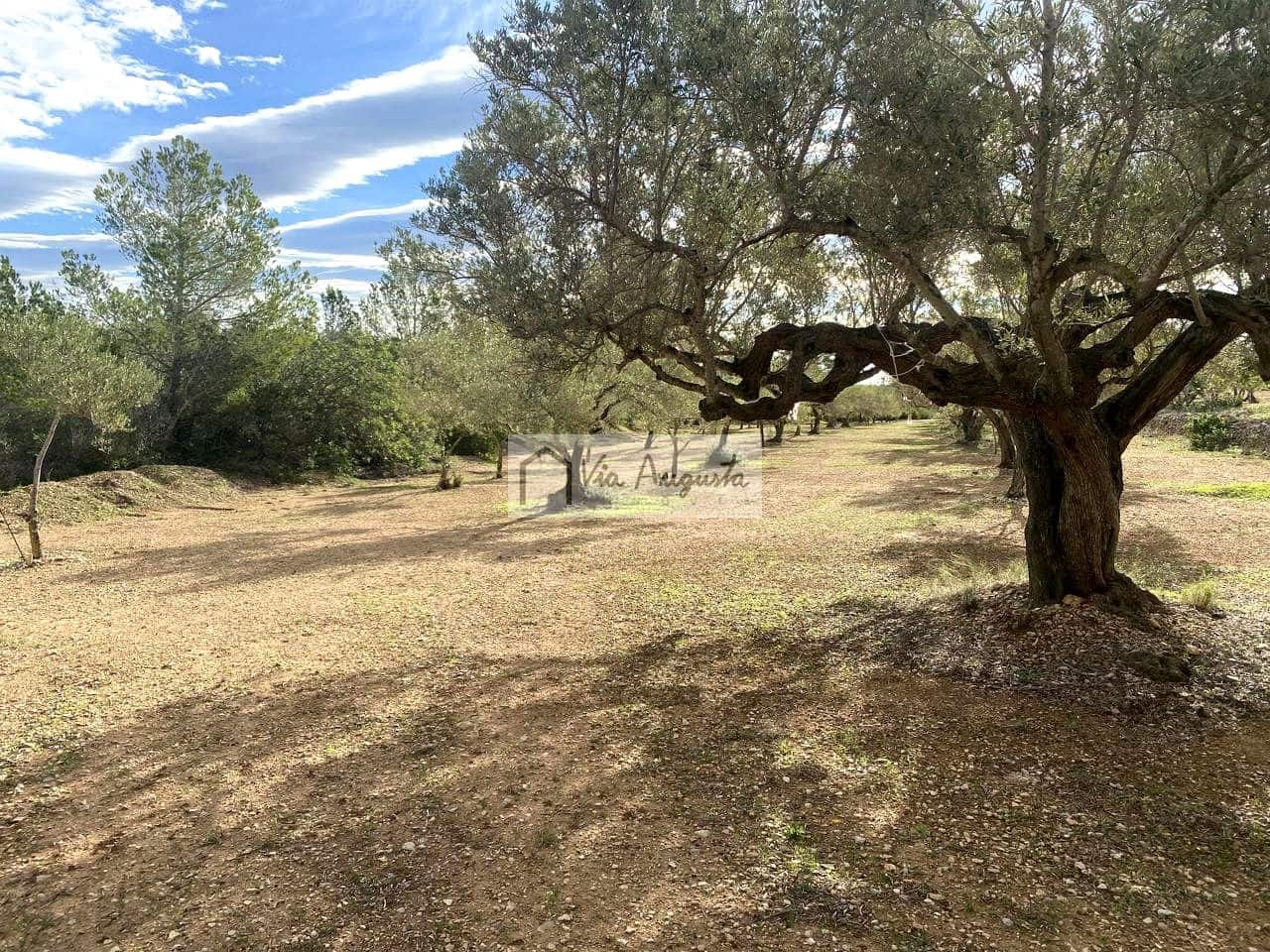 Grunde uden byggetilladelser til salg i L'Ampolla - € 53.000 (Ref: 8571110)