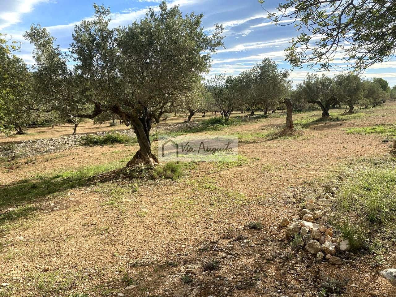 Grunde uden byggetilladelser til salg i L'Ampolla - € 53.000 (Ref: 8571110)