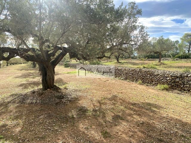 Grunde uden byggetilladelser til salg i L'Ampolla - € 53.000 (Ref: 8571110)