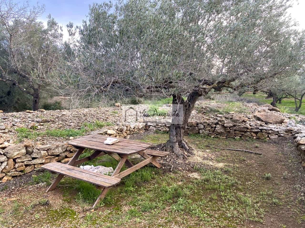 Grunde uden byggetilladelser til salg i Tortosa - € 49.900 (Ref: 8660870)