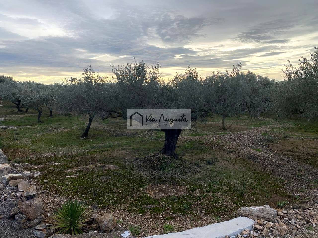 Grunde uden byggetilladelser til salg i Tortosa - € 49.900 (Ref: 8660870)