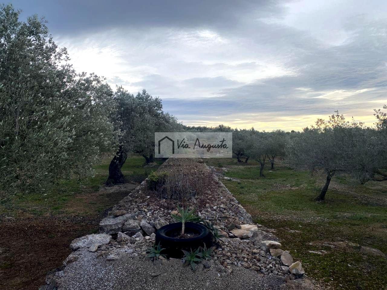 Grunde uden byggetilladelser til salg i Tortosa - € 49.900 (Ref: 8660870)