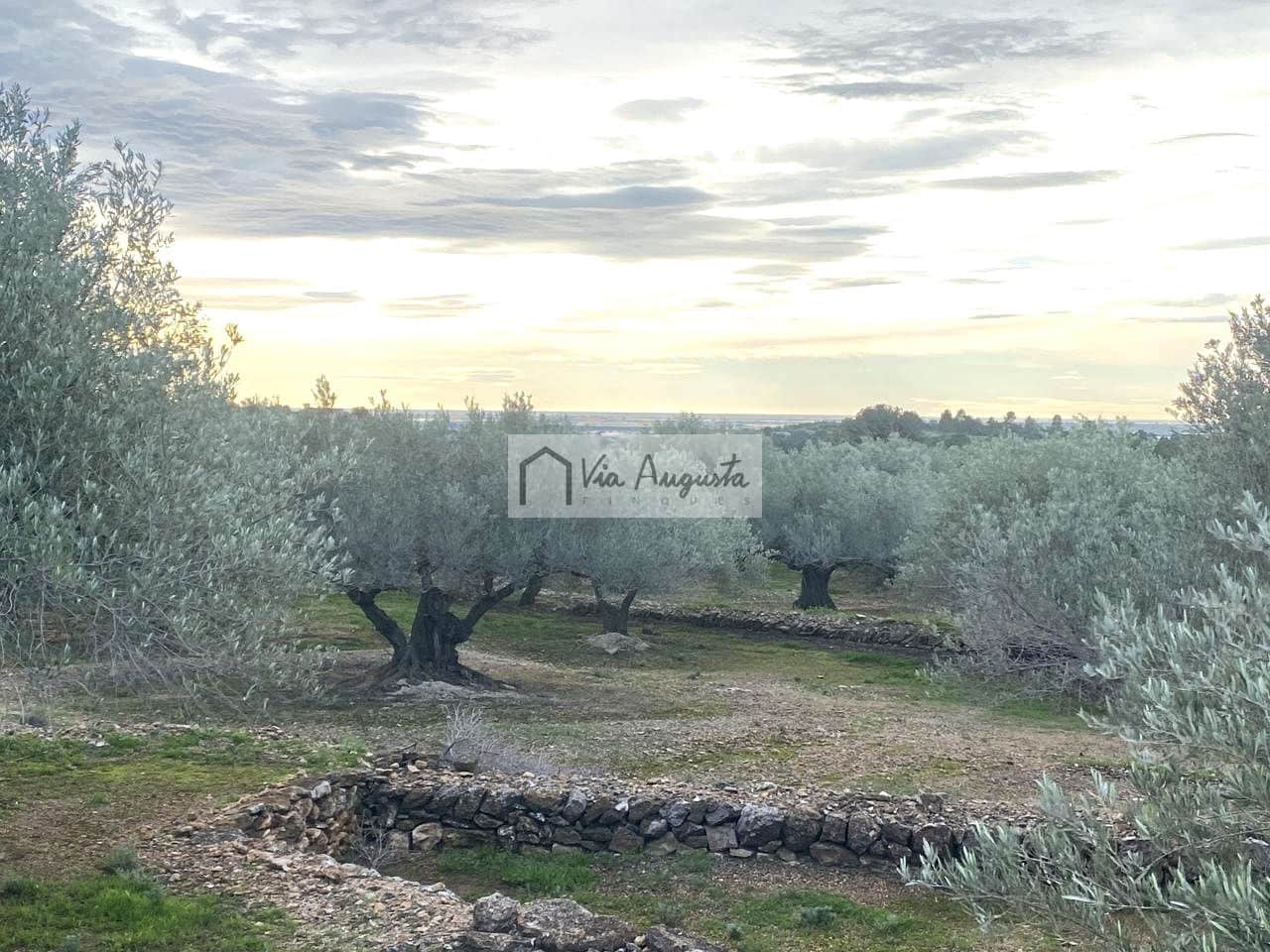 Grunde uden byggetilladelser til salg i Tortosa - € 49.900 (Ref: 8660870)