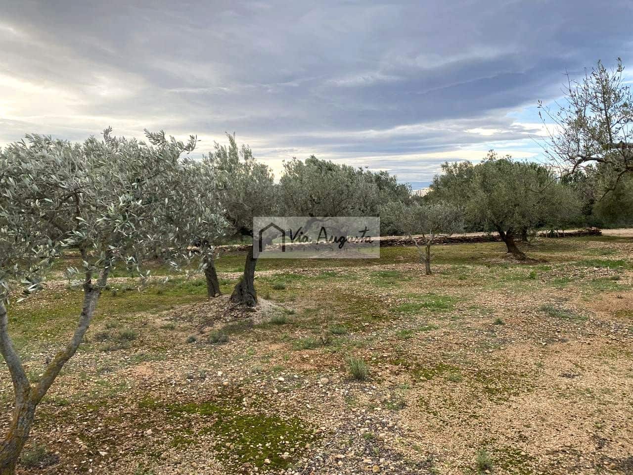 Grunde uden byggetilladelser til salg i Tortosa - € 49.900 (Ref: 8660870)