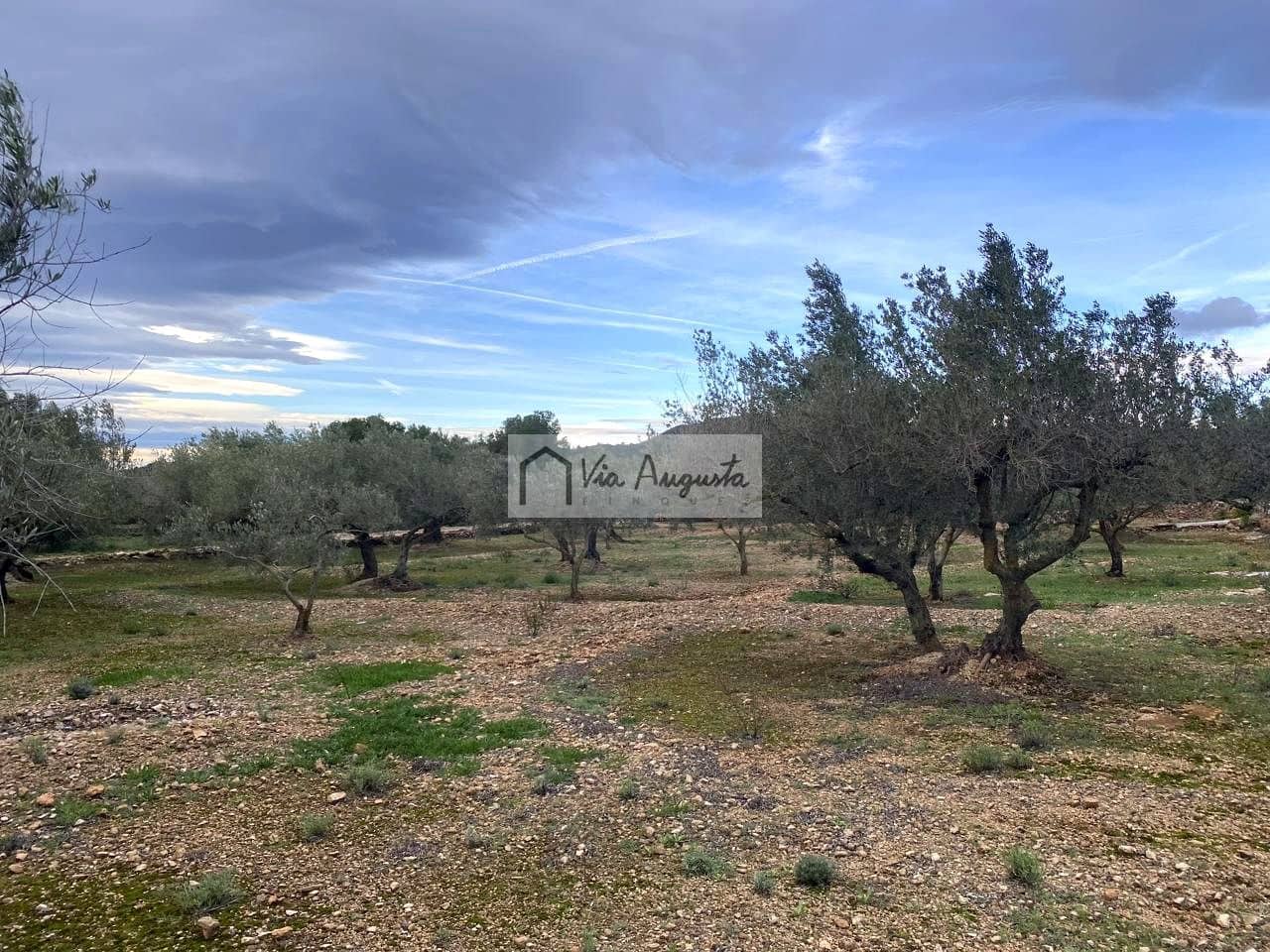 Grunde uden byggetilladelser til salg i Tortosa - € 49.900 (Ref: 8660870)