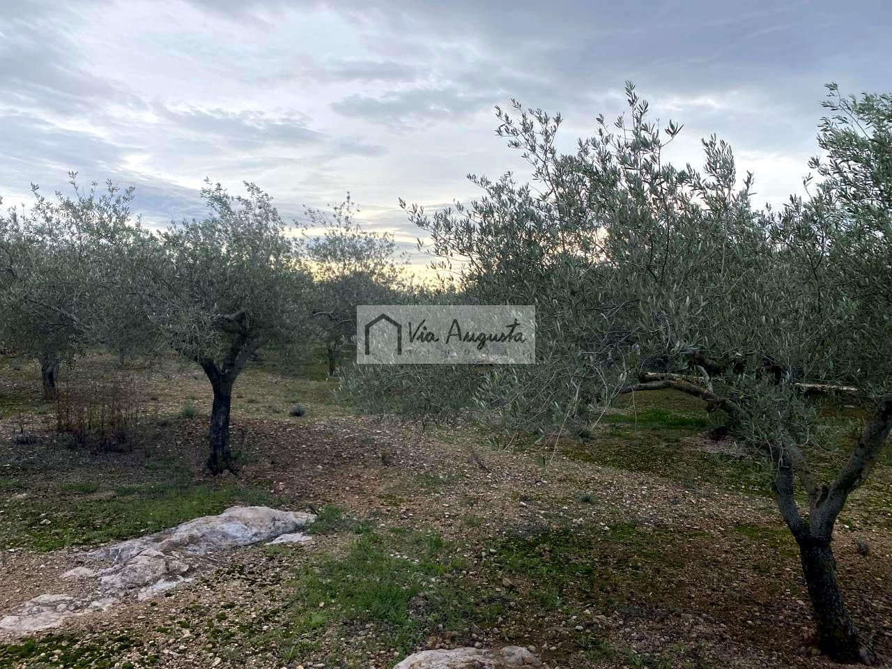 Grunde uden byggetilladelser til salg i Tortosa - € 49.900 (Ref: 8660870)