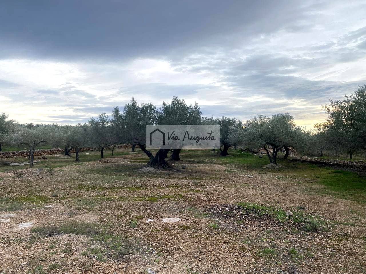 Grunde uden byggetilladelser til salg i Tortosa - € 49.900 (Ref: 8660870)