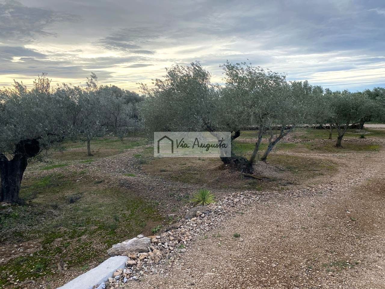 Grunde uden byggetilladelser til salg i Tortosa - € 49.900 (Ref: 8660870)