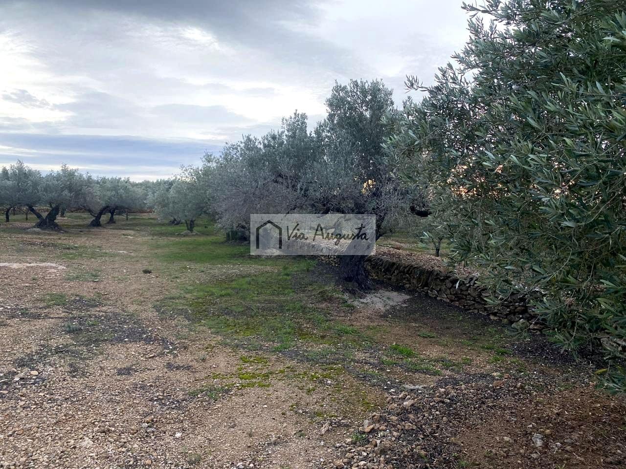 Grunde uden byggetilladelser til salg i Tortosa - € 49.900 (Ref: 8660870)