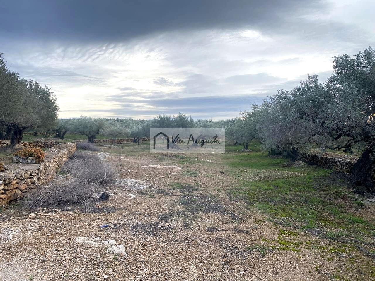 Grunde uden byggetilladelser til salg i Tortosa - € 49.900 (Ref: 8660870)