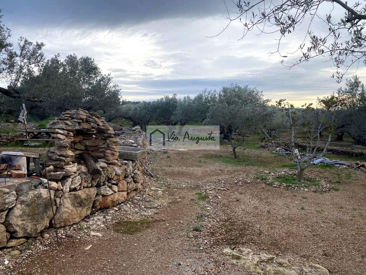 Grunde uden byggetilladelser til salg i Tortosa - € 49.900 (Ref: 8660870)