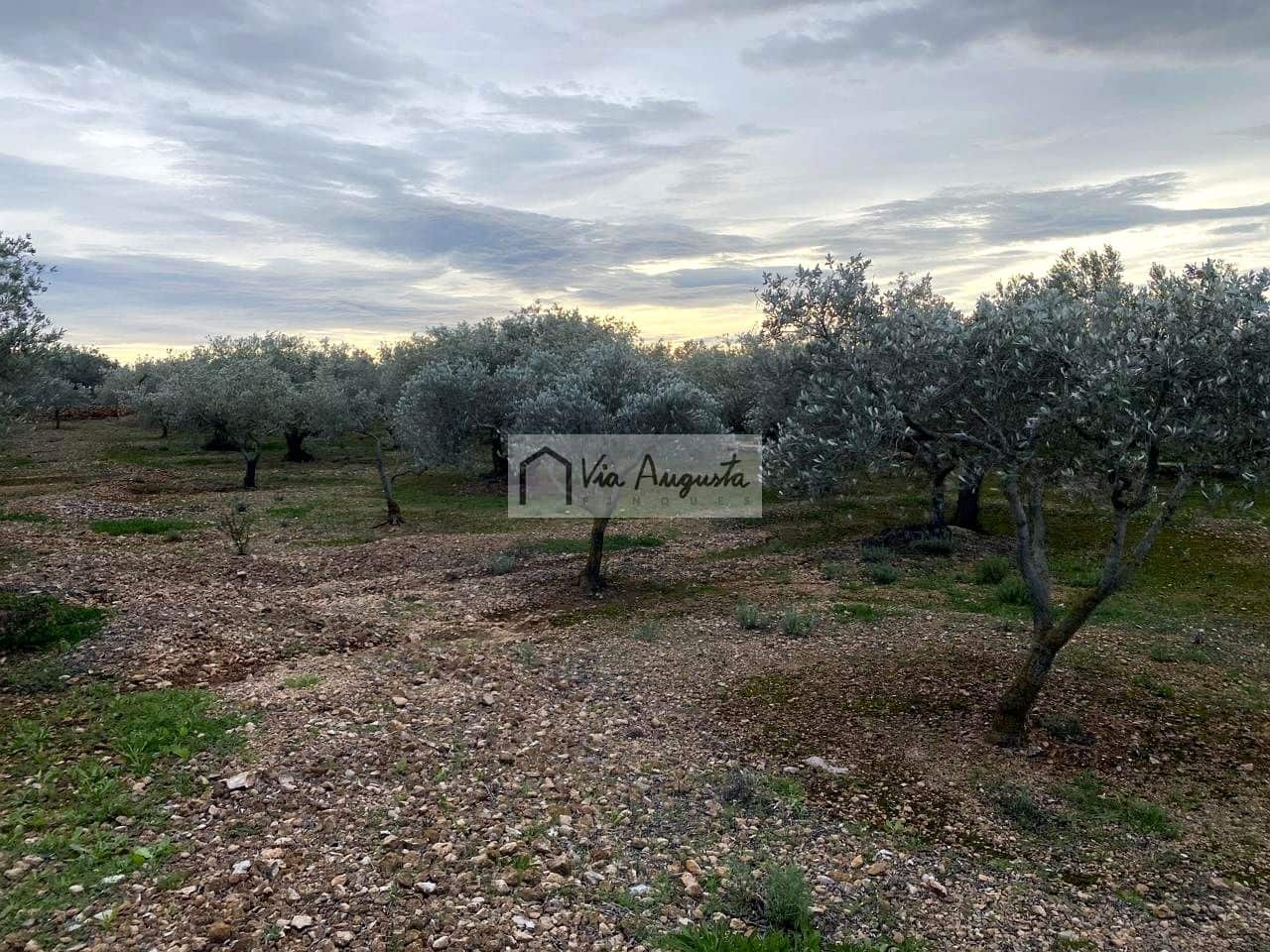 Grunde uden byggetilladelser til salg i Tortosa - € 49.900 (Ref: 8660870)