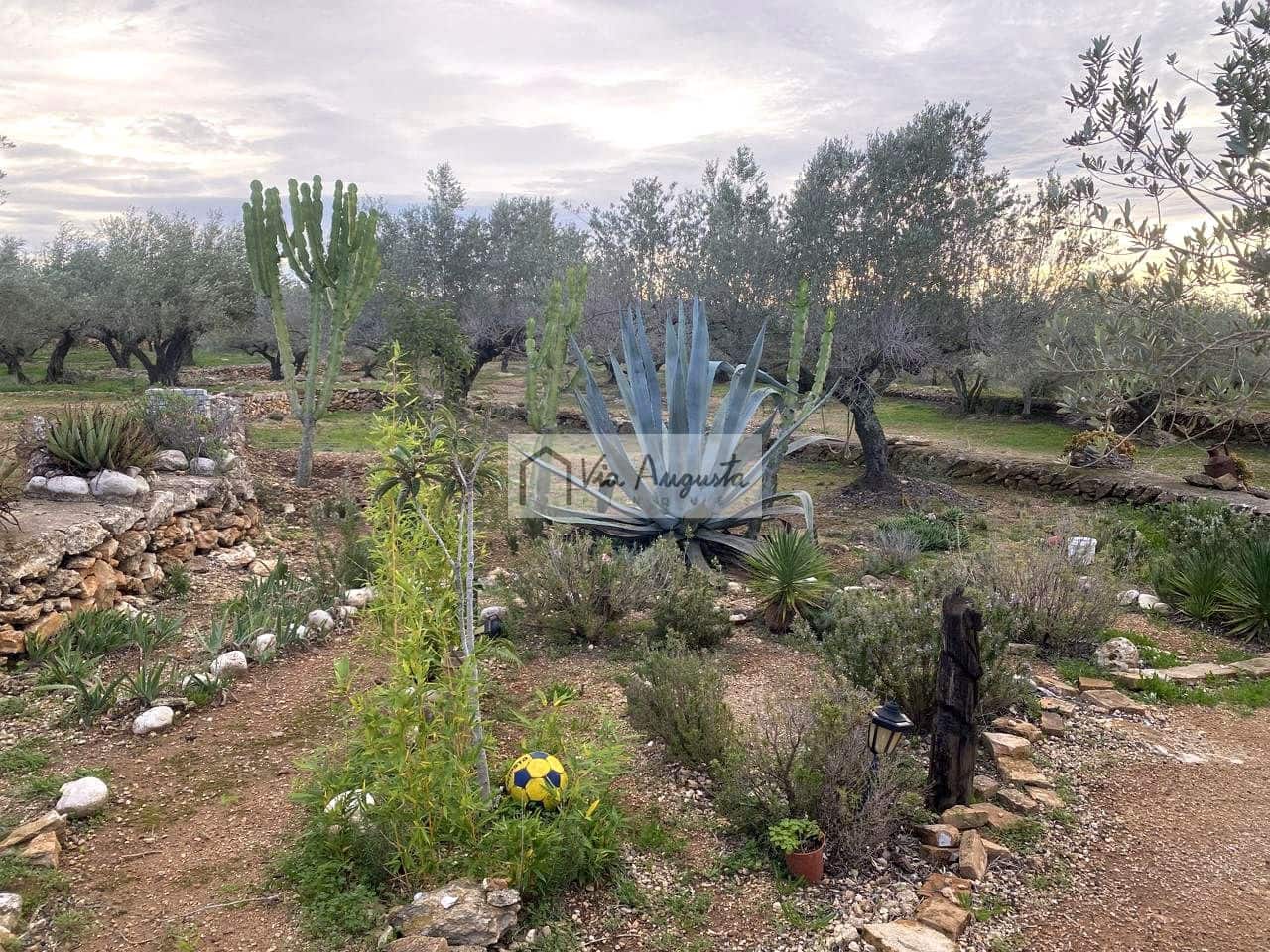 Grunde uden byggetilladelser til salg i Tortosa - € 49.900 (Ref: 8660870)