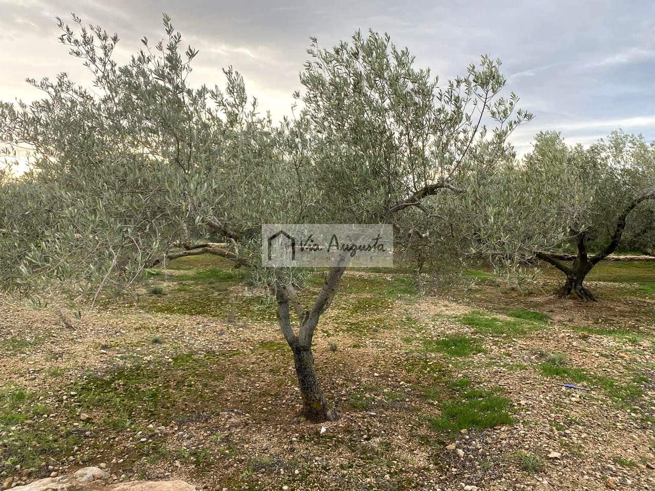 Grunde uden byggetilladelser til salg i Tortosa - € 49.900 (Ref: 8660870)