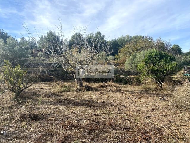 Grunde uden byggetilladelser til salg i El Perelló - € 34.000 (Ref: 8664270)