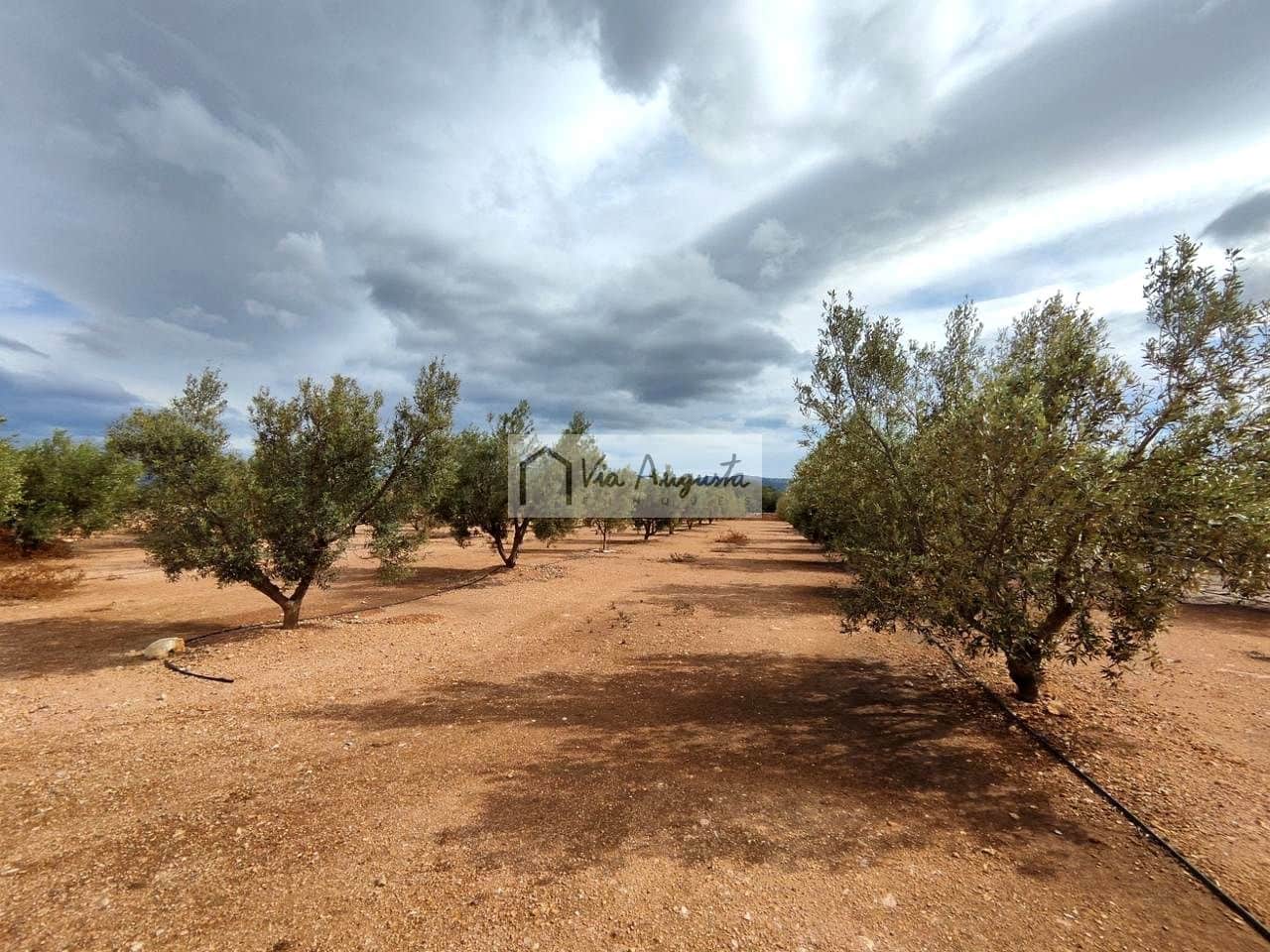 Grond te koop in Aldover - € 32.000 (Ref: 8690246)