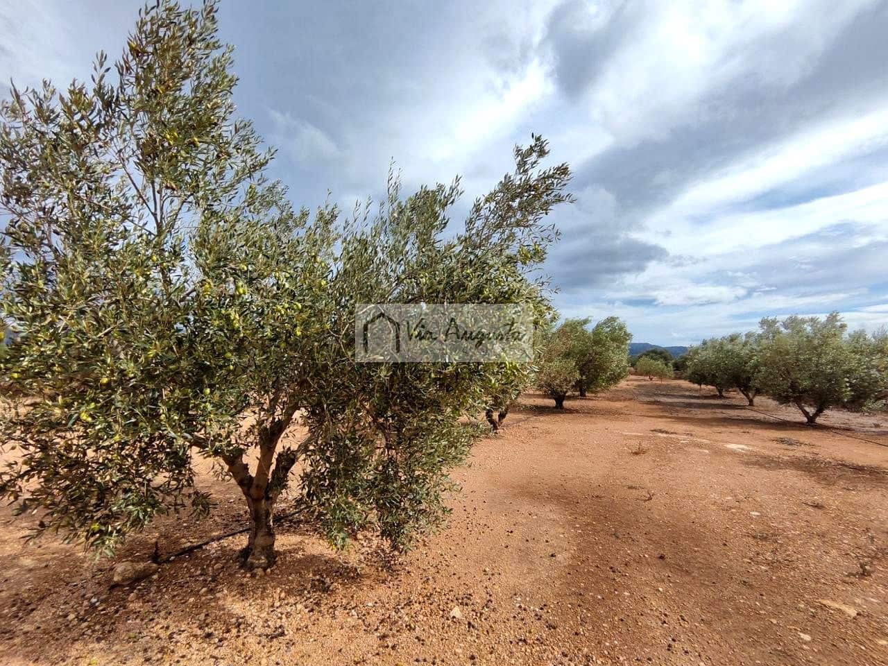 Grond te koop in Aldover - € 32.000 (Ref: 8690246)