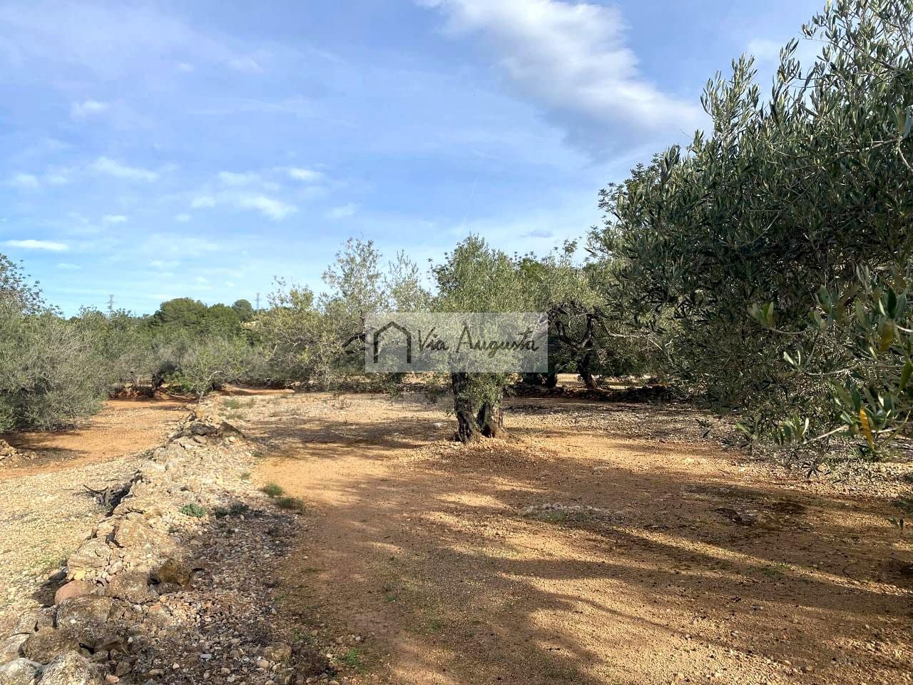 Grunde uden byggetilladelser til salg i L'Ampolla - € 65.000 (Ref: 8690247)