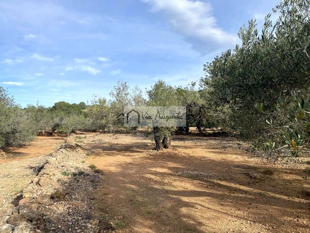 Grunde uden byggetilladelser til salg i L'Ampolla - € 65.000 (Ref: 8690247)