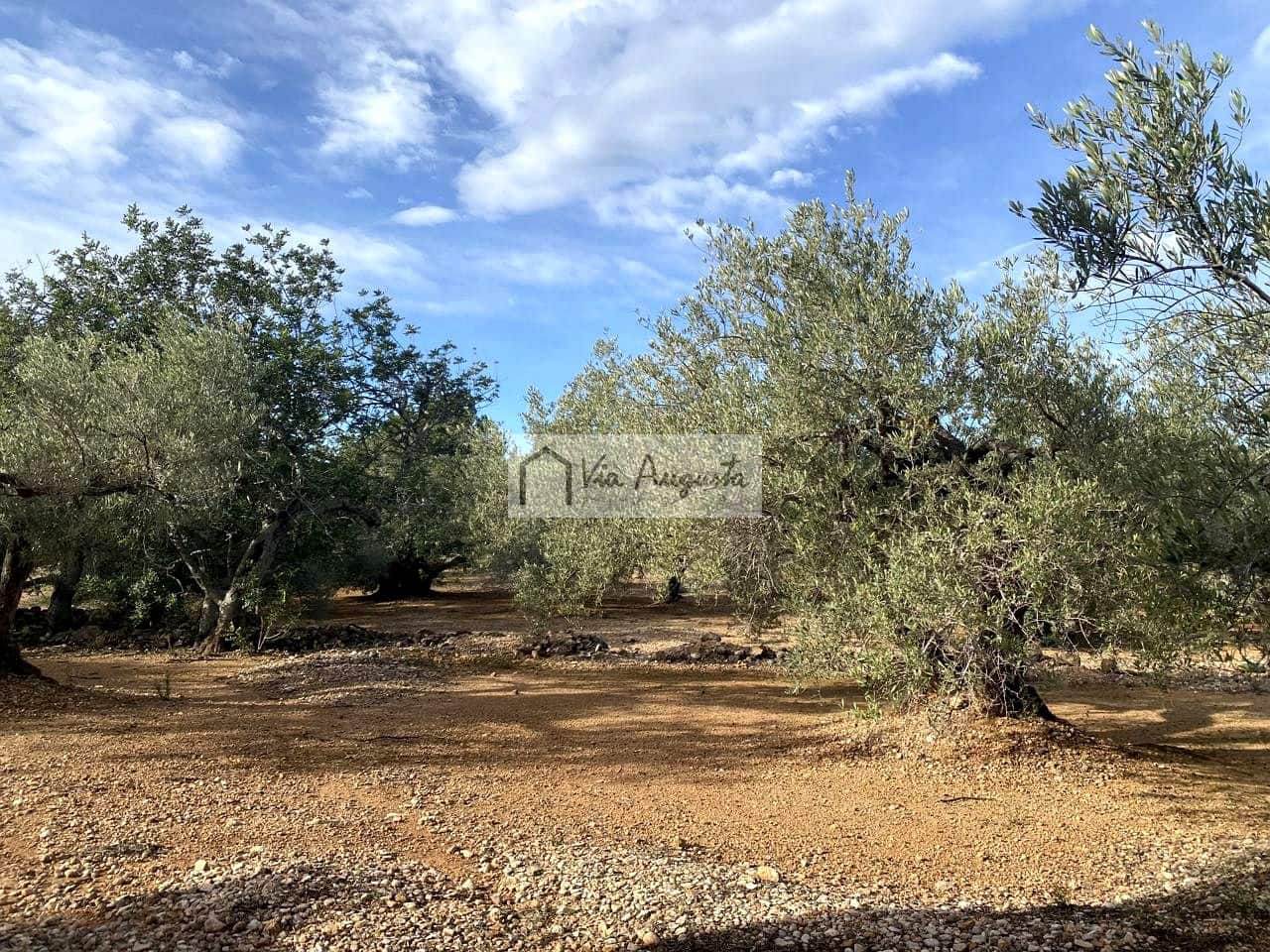 Grunde uden byggetilladelser til salg i L'Ampolla - € 65.000 (Ref: 8690247)