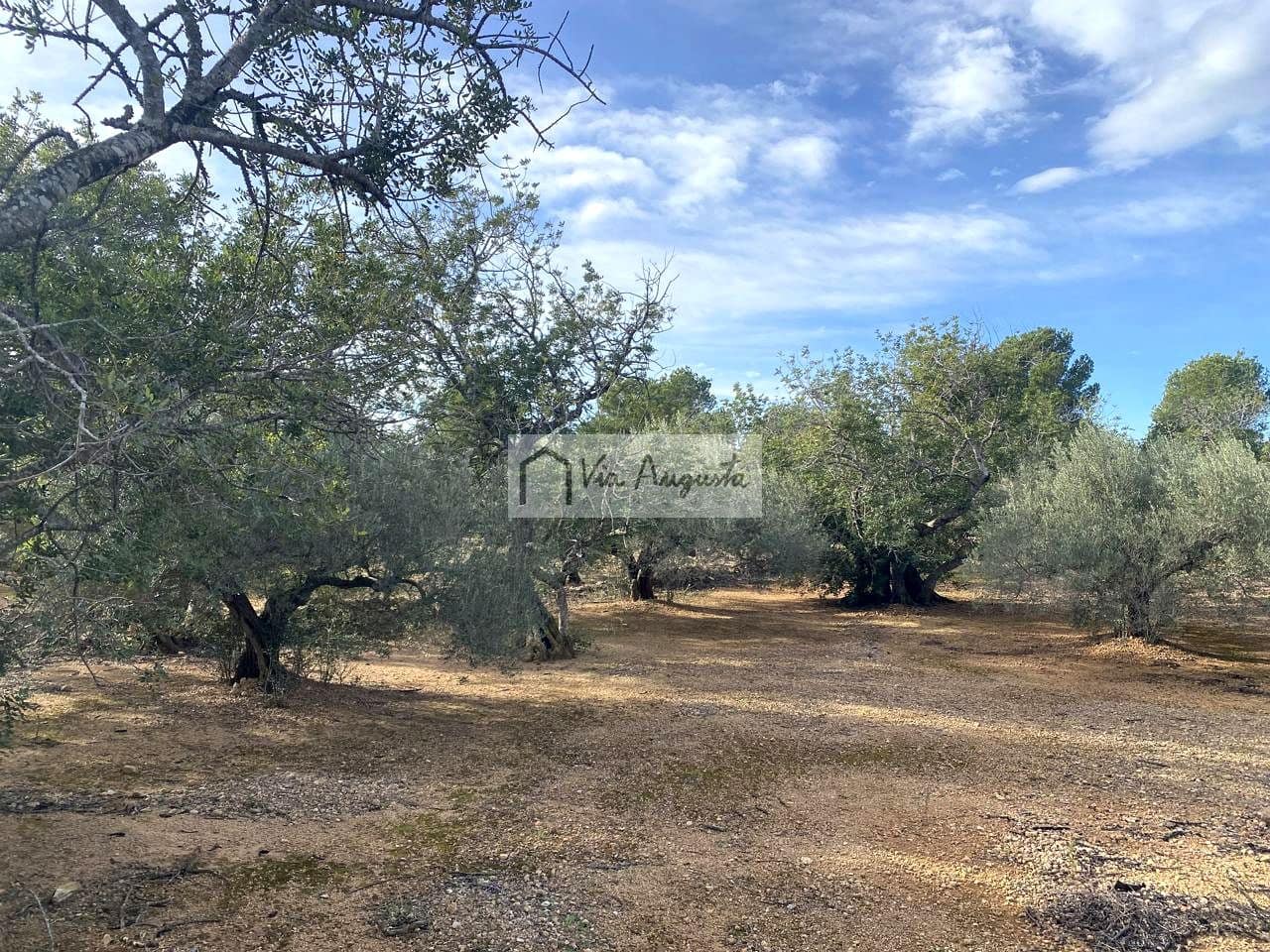 Grunde uden byggetilladelser til salg i L'Ampolla - € 65.000 (Ref: 8690247)