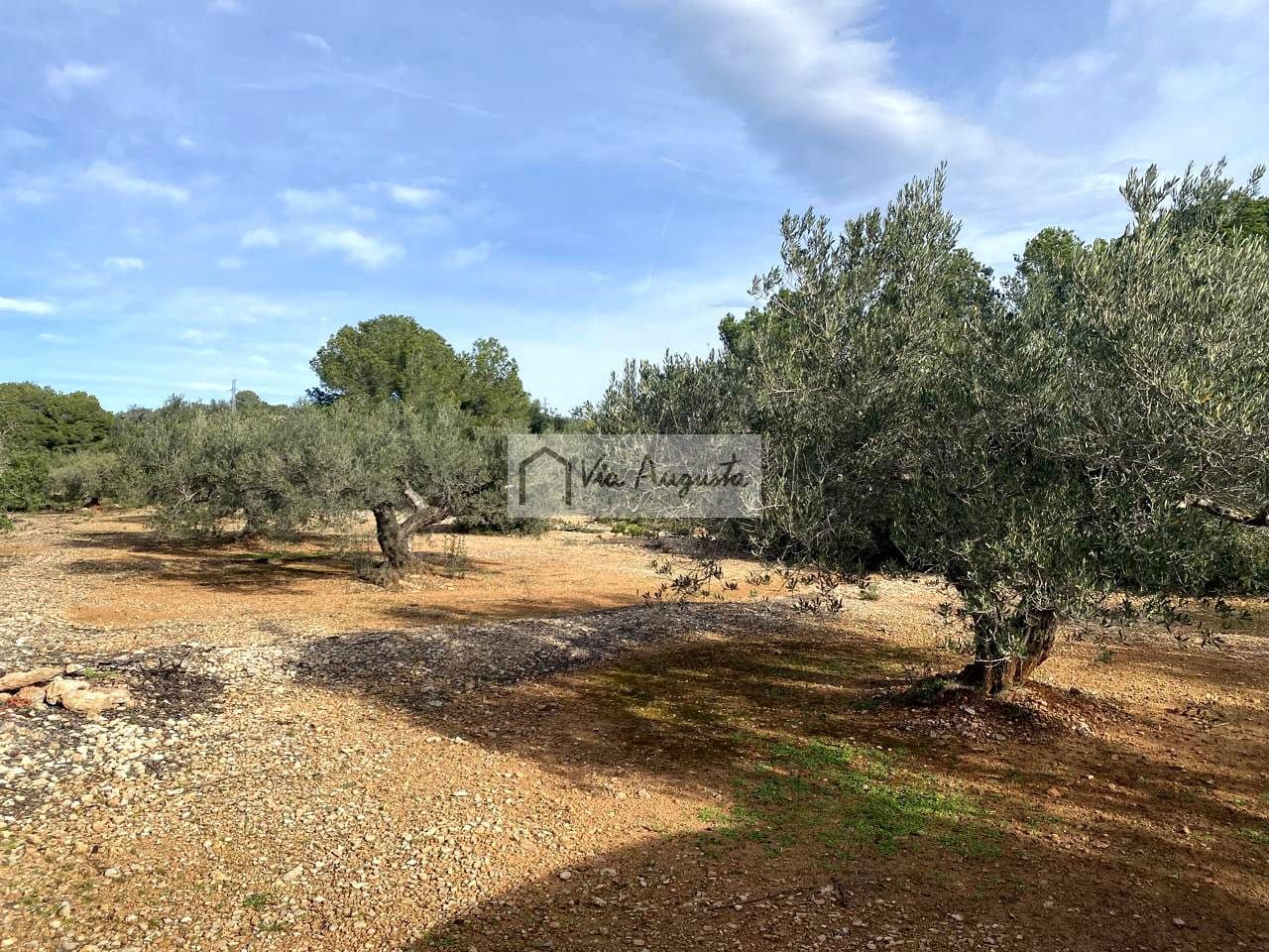 Grunde uden byggetilladelser til salg i L'Ampolla - € 65.000 (Ref: 8690247)