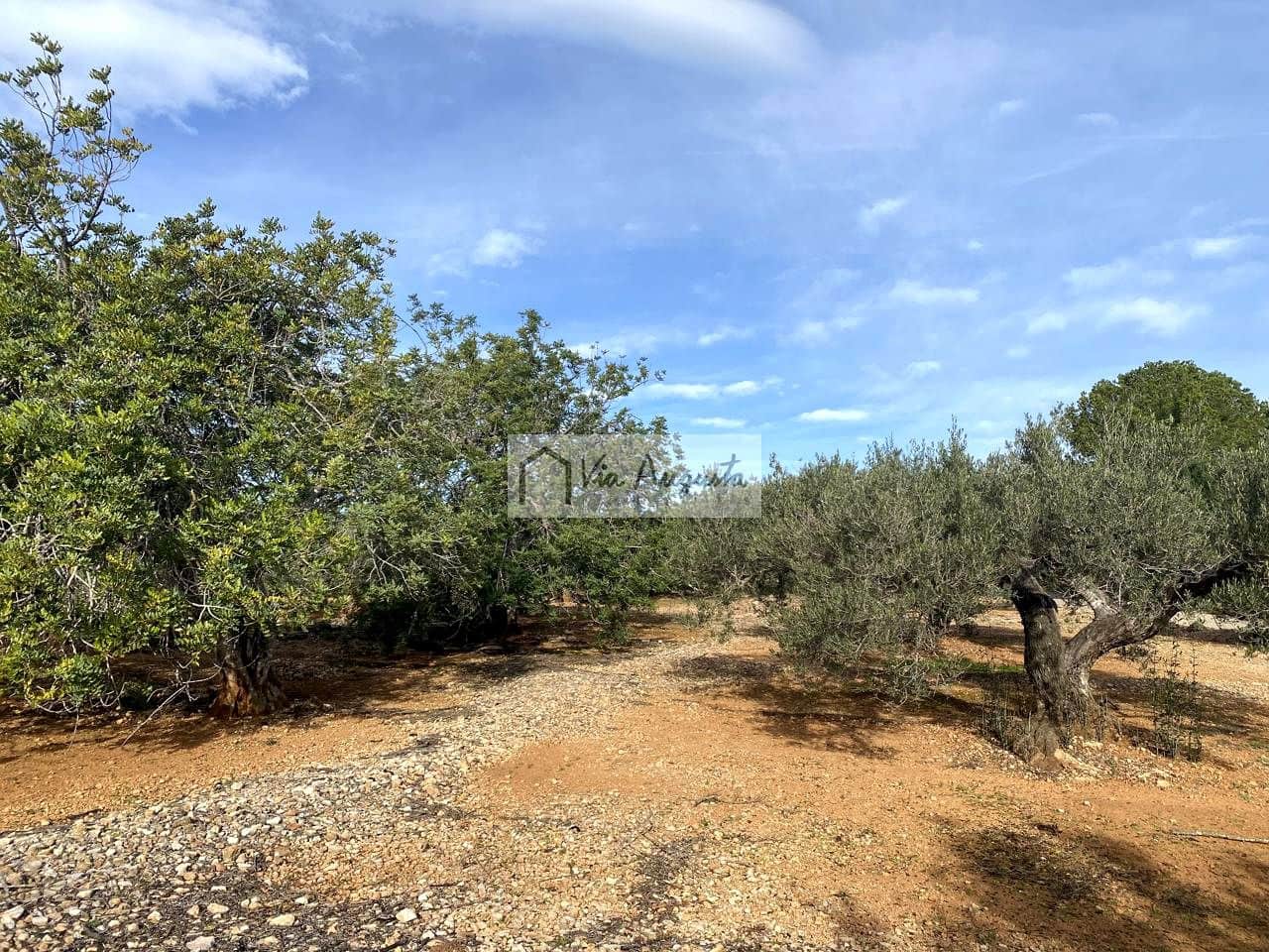 Grunde uden byggetilladelser til salg i L'Ampolla - € 65.000 (Ref: 8690247)