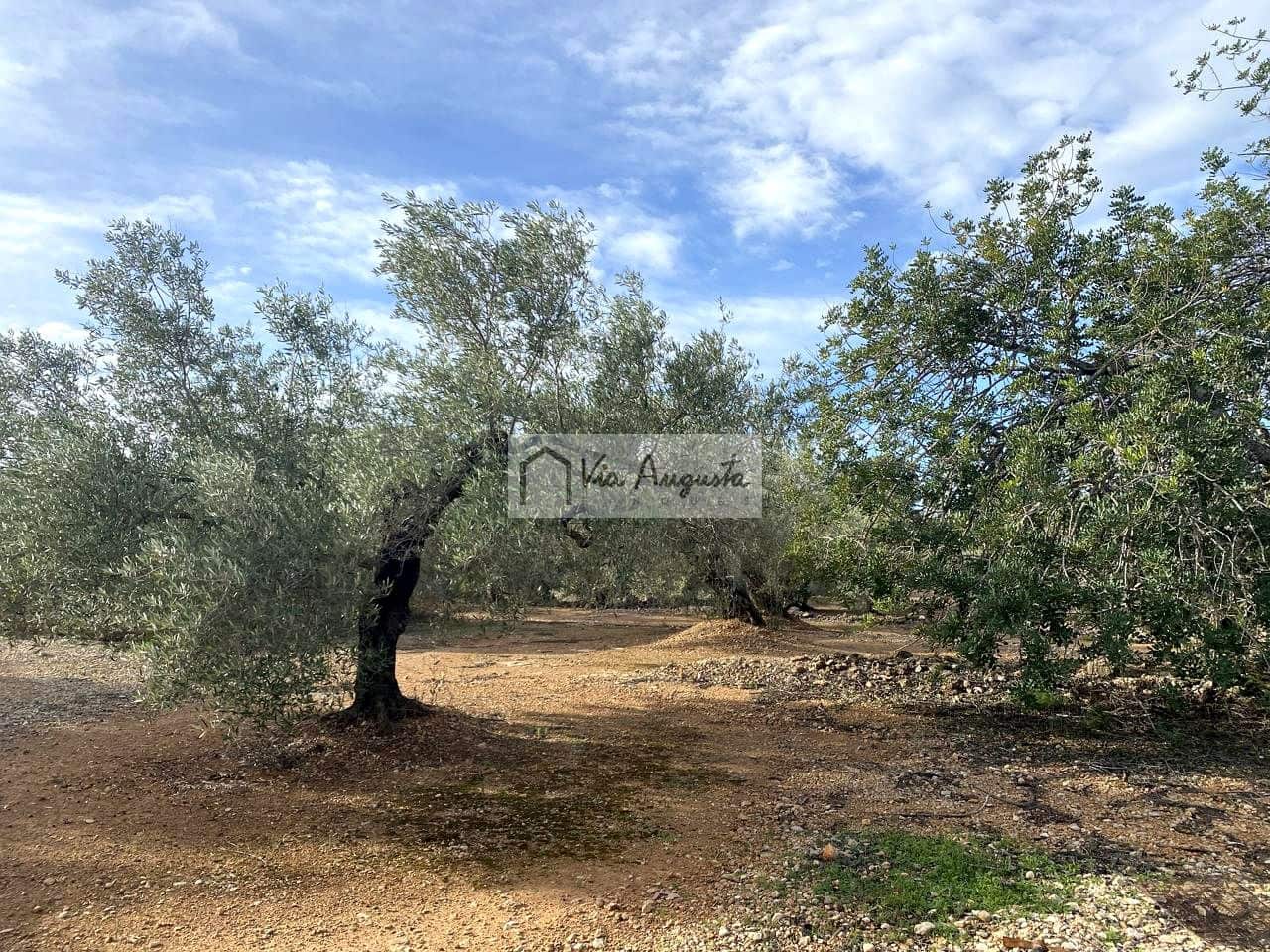 Grunde uden byggetilladelser til salg i L'Ampolla - € 65.000 (Ref: 8690247)