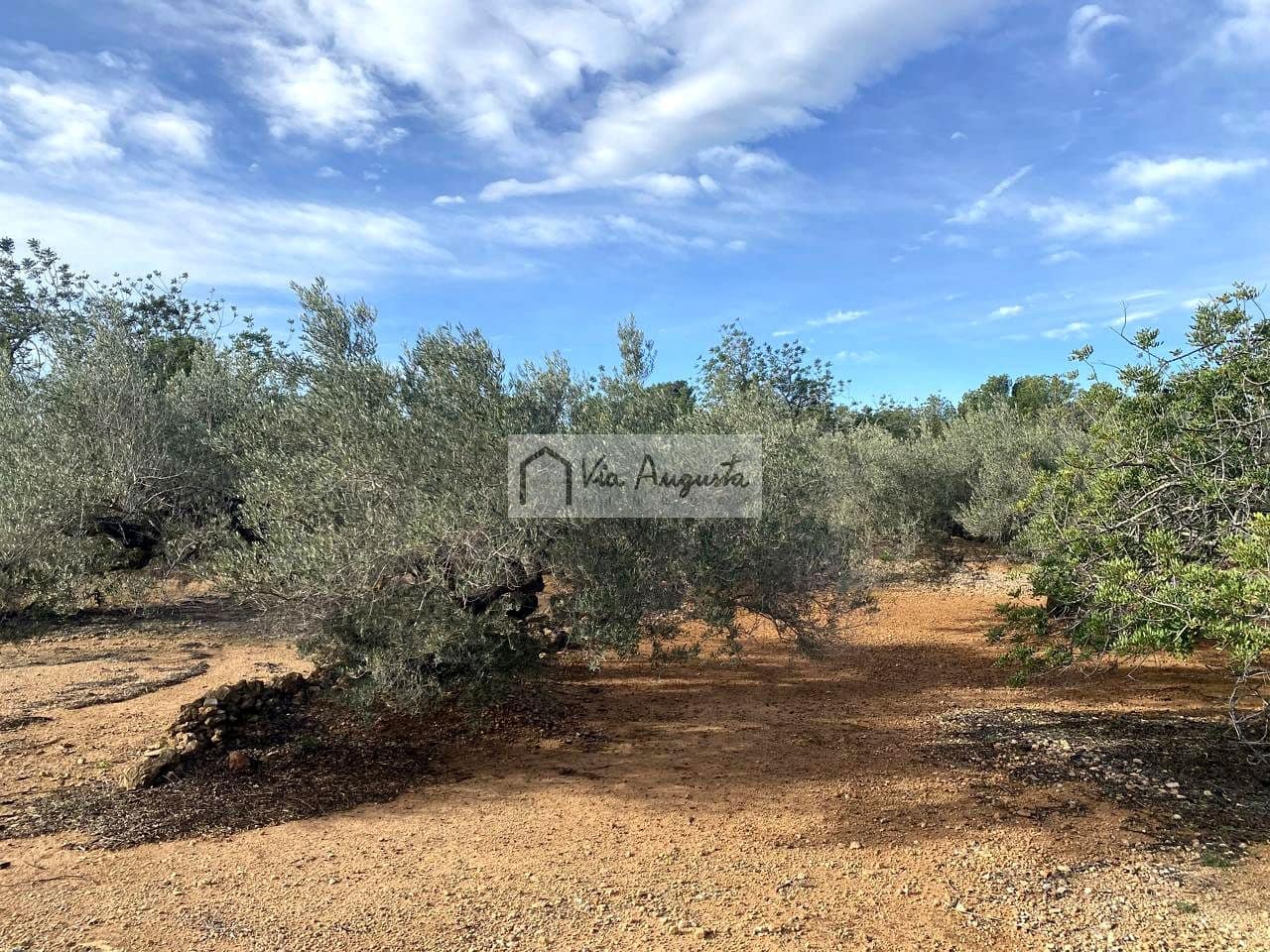 Grunde uden byggetilladelser til salg i L'Ampolla - € 65.000 (Ref: 8690247)