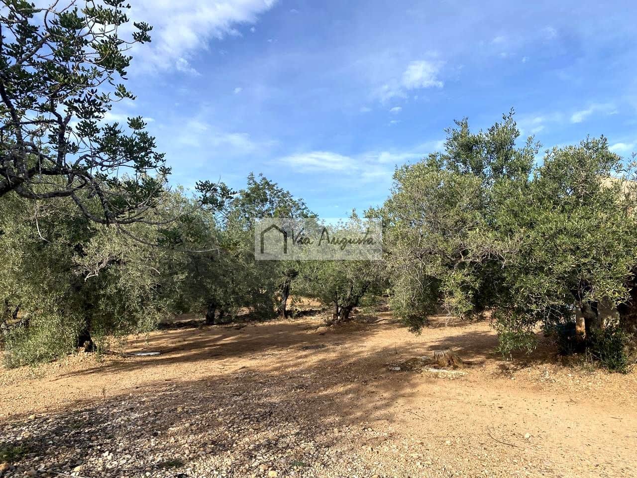 Grunde uden byggetilladelser til salg i L'Ampolla - € 65.000 (Ref: 8690247)