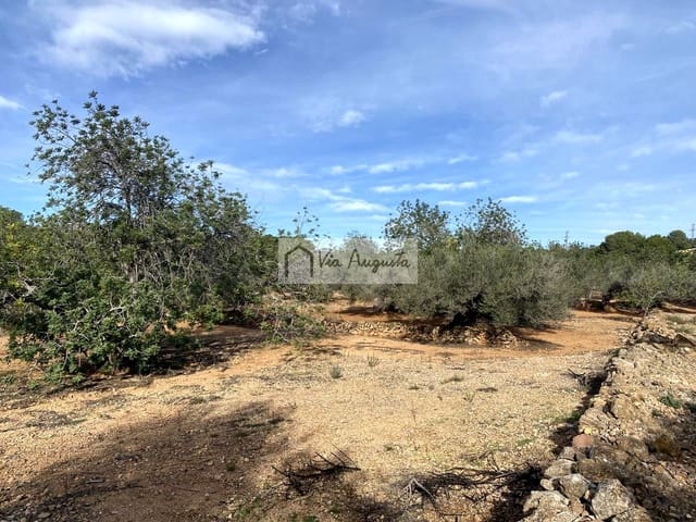 Grunde uden byggetilladelser til salg i L'Ampolla - € 65.000 (Ref: 8690247)