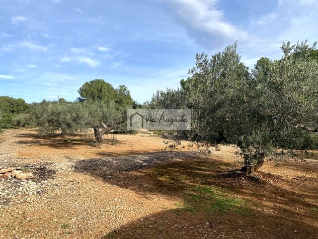 Grunde uden byggetilladelser til salg i L'Ampolla - € 65.000 (Ref: 8690247)