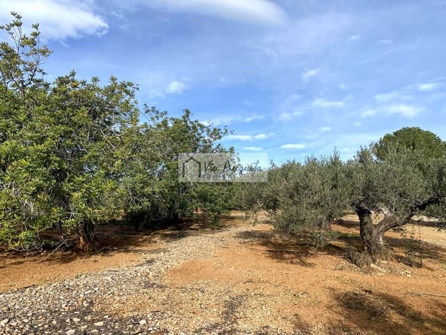 Grunde uden byggetilladelser til salg i L'Ampolla - € 65.000 (Ref: 8690247)