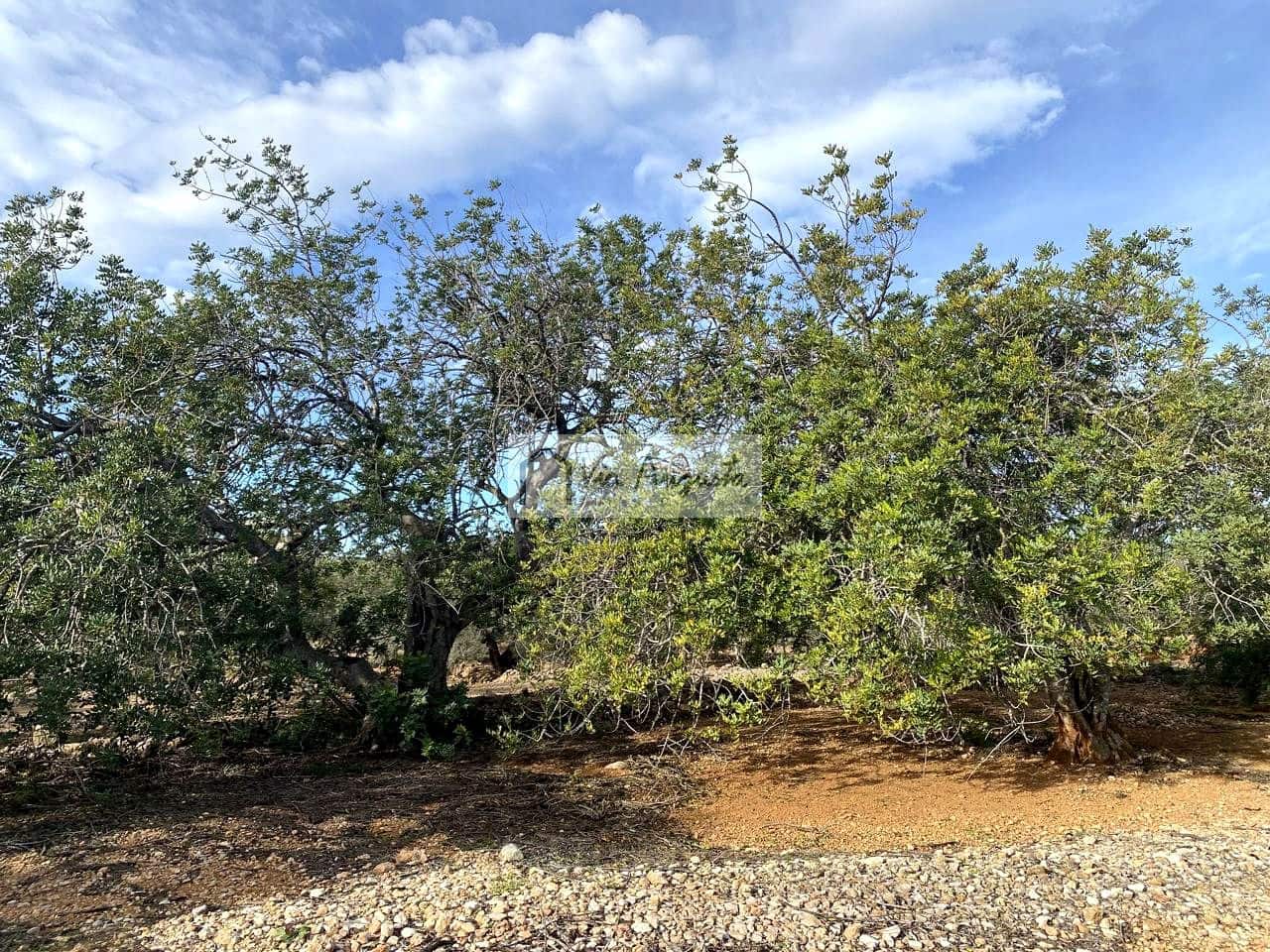 Grunde uden byggetilladelser til salg i L'Ampolla - € 65.000 (Ref: 8690247)