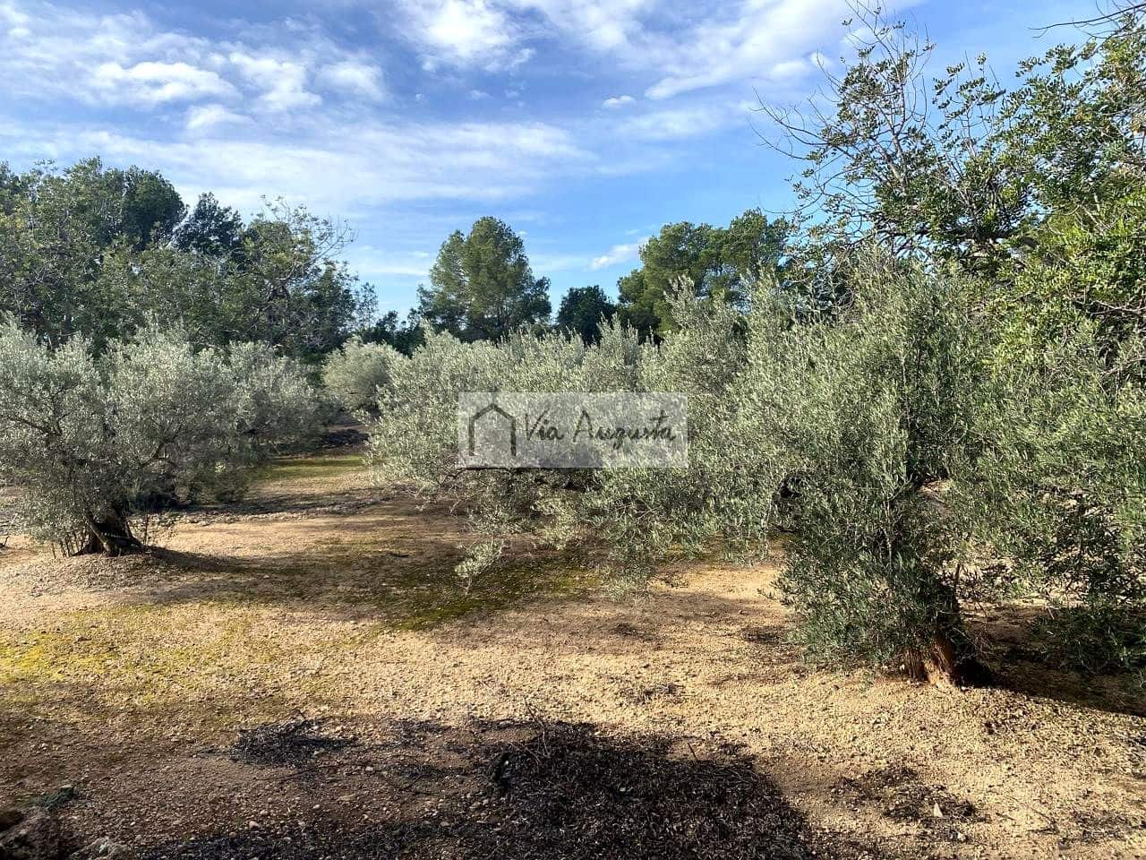 Grunde uden byggetilladelser til salg i L'Ampolla - € 65.000 (Ref: 8690247)